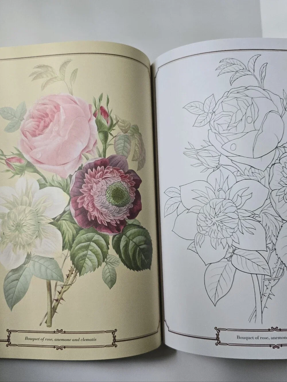 The Beautiful Nature Adult Vintage Coloring Book